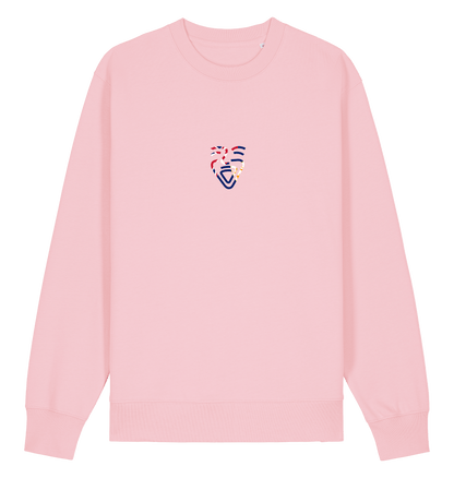 Cotton Pink Printed Sweater Front