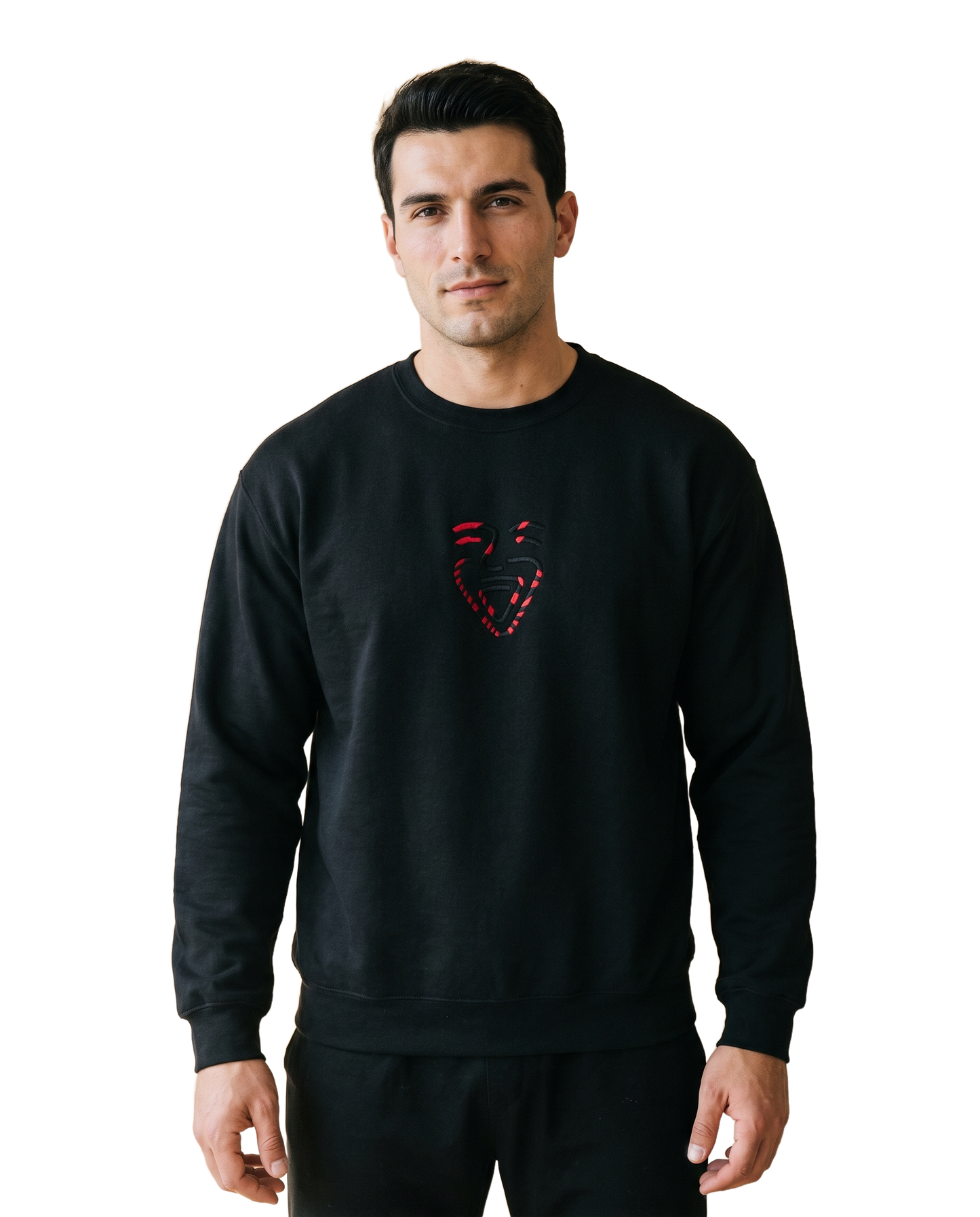 Albania Sweater – Black – Model (Mann)
