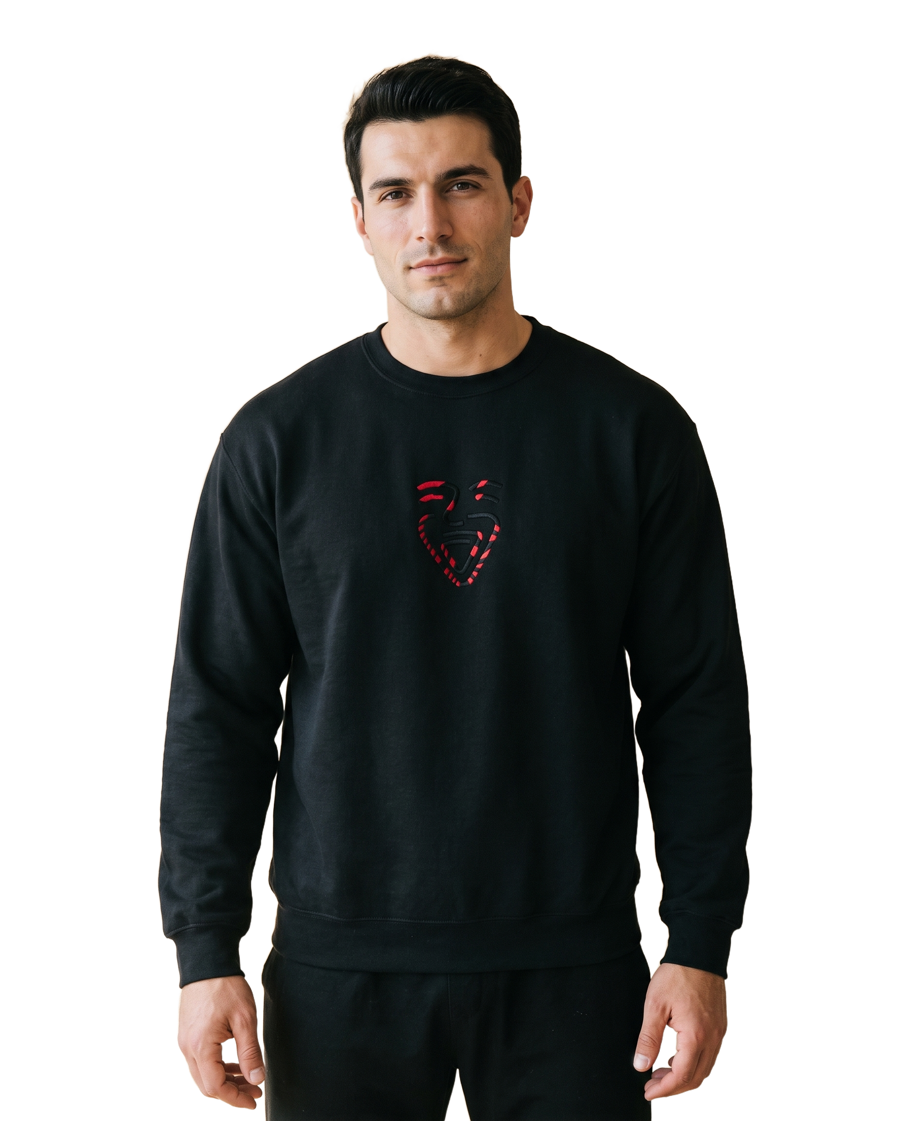 Albania Sweater – Black – Model (Mann)
